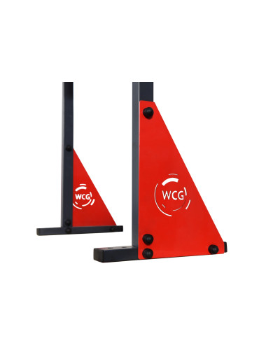 Турнік настінний WCG Elite SE 030