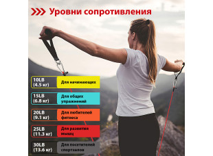 Набор Эспандеров WCG T15 для фитнеса. 5  ЖГУТОВ + ЧЕХОЛ