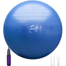 Мяч для фитнеса (фитбол) WCG 65 Anti-Burst 300кг Голубой + насос
