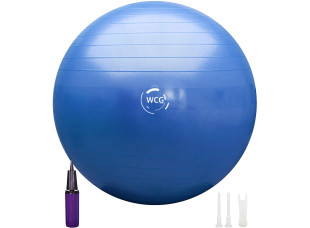 Мяч для фитнеса (фитбол) WCG 65 Anti-Burst 300кг Голубой + насос