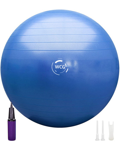 М'яч для фітнесу (фітбол) WCG 65 Anti-Burst 300кг Голубий + насос