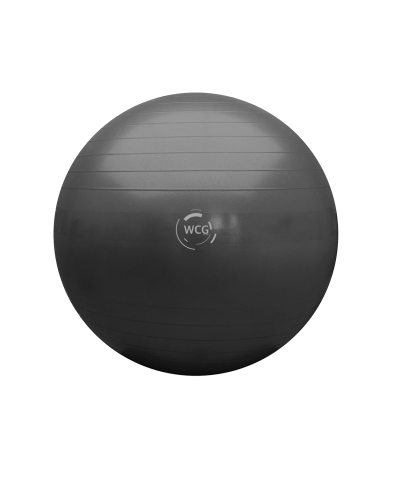 М'яч для фітнесу (фітбол) WCG 85 Anti-Burst 300кг Графіт + насос