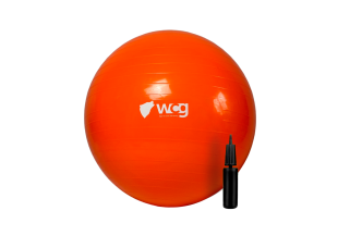 Мяч для фитнеса (фитбол) WCG 55 Anti-Burst 300кг Оранжевый + насос