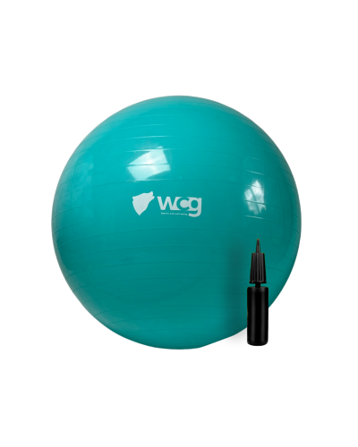М'яч для фітнесу (фітбол) WCG 65 Anti-Burst 300кг Бірюзовий + насос