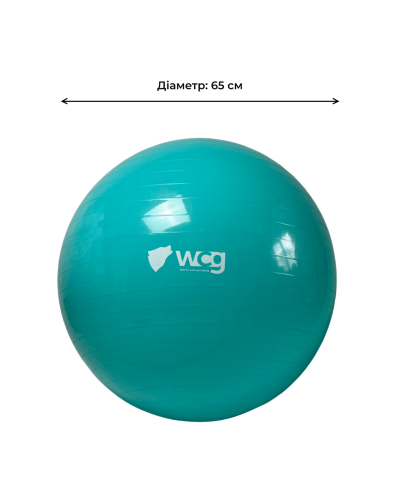 М'яч для фітнесу (фітбол) WCG 65 Anti-Burst 300кг Бірюзовий + насос