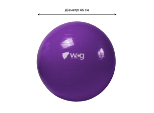 Мяч для фитнеса (фитбол) WCG 65 Anti-Burst 300кг Фиолетовый + насос