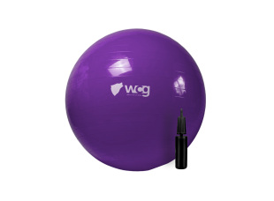 Мяч для фитнеса (фитбол) WCG 65 Anti-Burst 300кг Фиолетовый + насос