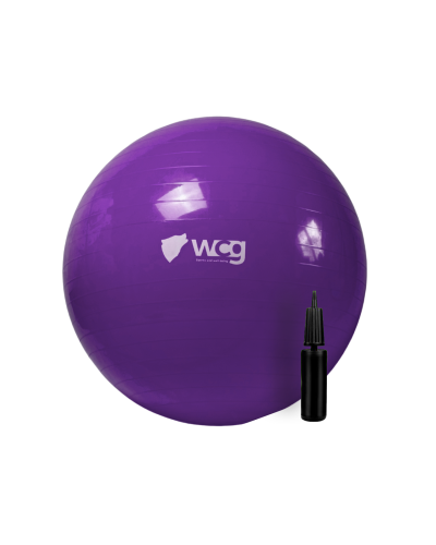 М'яч для фітнесу (фітбол) WCG 65 Anti-Burst 300кг Фіолетовий + насос