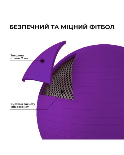 М'яч для фітнесу (фітбол) WCG 65 Anti-Burst 300кг Фіолетовий + насос