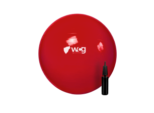 Мяч для фитнеса (фитбол) WCG 75 Anti-Burst 250кг Красный + насос