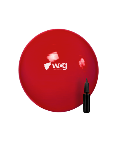 М'яч для фітнесу (фітбол) WCG 75 Anti-Burst 250кг Червоний + насос