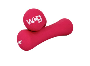 Неопреновые фитнес гантели WCG по 0,5 кг (2х0,5)