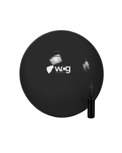 М'яч для фітнесу (фітбол) WCG 85 Anti-Burst 300кг Графіт + насос