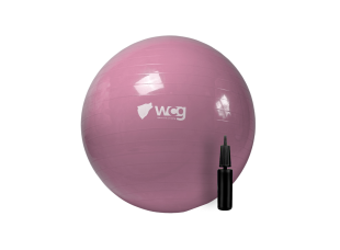 Мяч для фитнеса (фитбол) WCG 55 Anti-Burst 250кг Pale Pink + насос