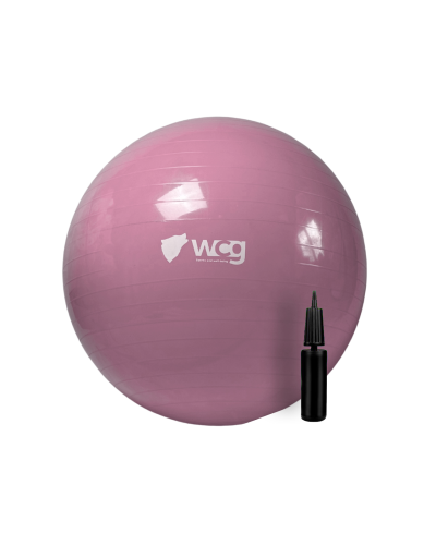 М'яч для фітнесу (фітбол) WCG 55 Anti-Burst 250кг Pale Pink + насос