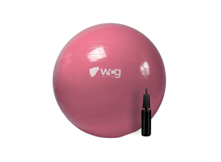 Мяч для фитнеса (фитбол) WCG 65 Anti-Burst 300кг Персиковый + насос