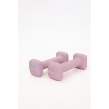 Гантели для фитнеса WCG Cube 2×1 кг