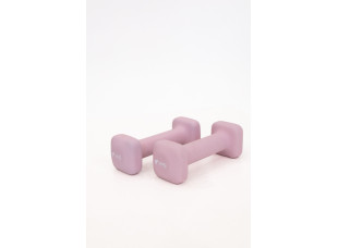 Гантели для фитнеса WCG Cube 2×1 кг