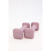Гантели для фитнеса WCG Cube 2×1 кг