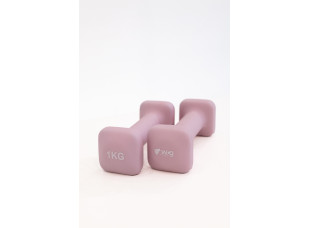 Гантели для фитнеса WCG Cube 2×1 кг