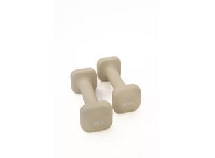 Гантели для фитнеса WCG Cube 2×2 кг