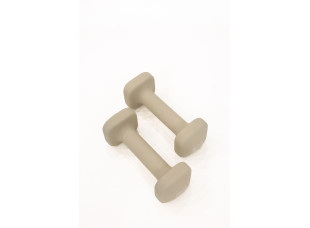 Гантели для фитнеса WCG Cube 2×2 кг
