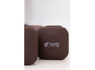 Гантели для фитнеса WCG Cube 2×3 кг