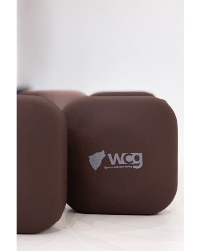 Гантелі для фітнесу WCG NeoCube 2×3 кг