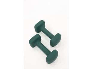 Гантели для фитнеса WCG Cube 2×4 кг