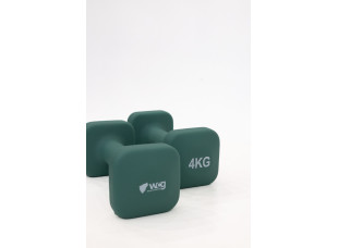 Гантели для фитнеса WCG Cube 2×4 кг