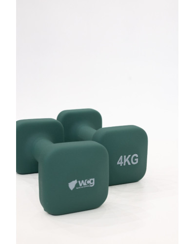 Гантелі для фітнесу WCG NeoCube 2×4 кг