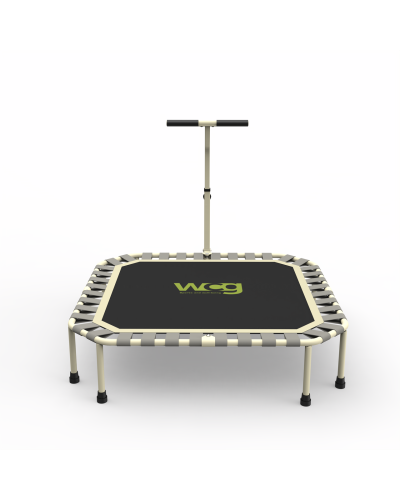 Фитнес-батут для тренировок с ручкой WCG 4Active