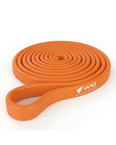 Фітнес-резинка WCG PowerStrip Level 3 (27 - 45 кг) — Гумовий еспандер для тренувань та підтягувань