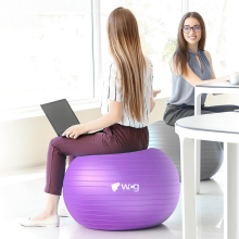 Мяч для фитнеса WCG Balance Pro 65 см Anti-Burst до 500 кг с насосом, фитбол для йоги, пилатеса и беременных, фиолетовый