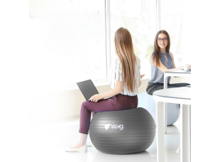 Мяч для фитнеса WCG Balance Pro 75 см Anti-Burst до 500 кг с насосом, фитбол для йоги, пилатеса и беременных, графитовый